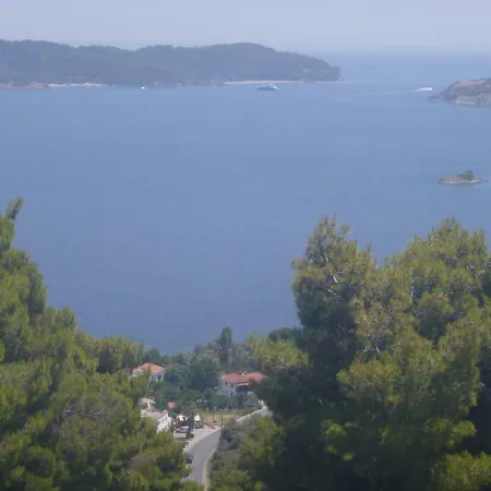 Iliotropio *
